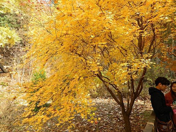 DSCN3221.JPG