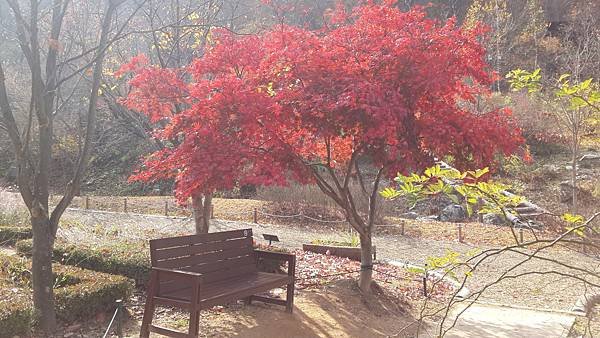 20141102_131420.jpg