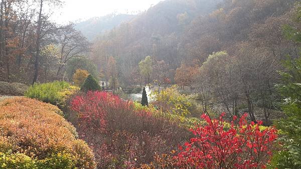 20141102_133014.jpg