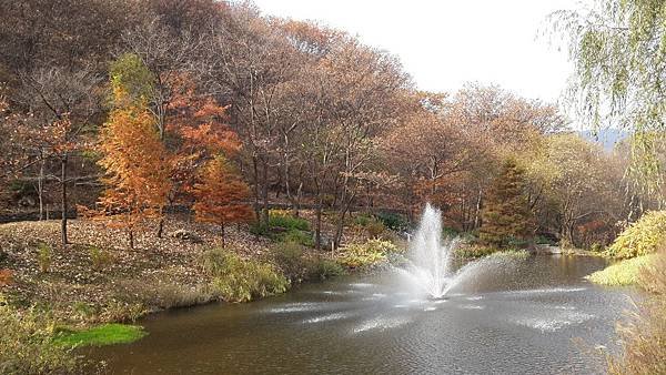 20141102_133634.jpg