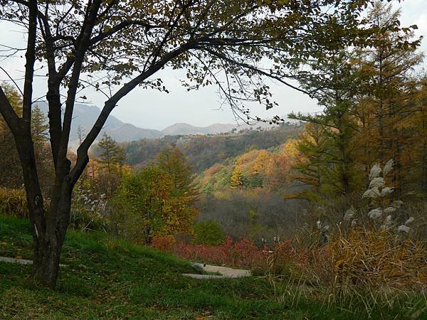 DSCN3255.JPG