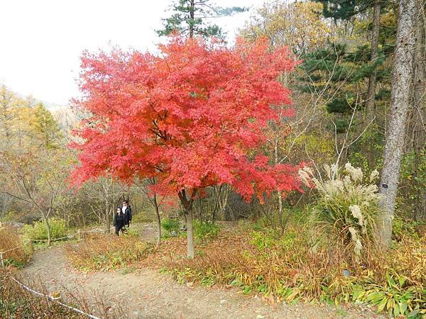 DSCN3258.JPG