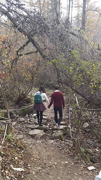 20141102_134938.jpg