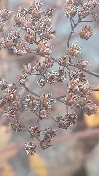 20141102_142558.jpg