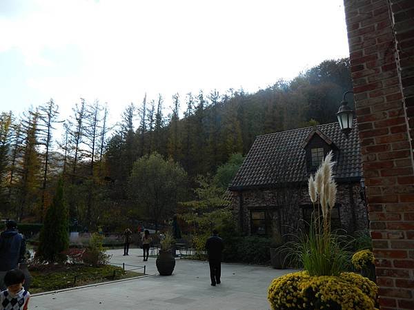 DSCN3275.JPG
