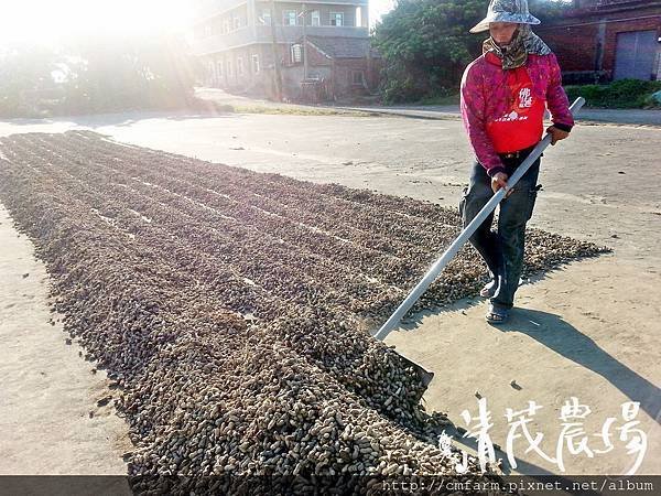 自然農法古法柴燒花生油(現貨)  2025.1.1更新