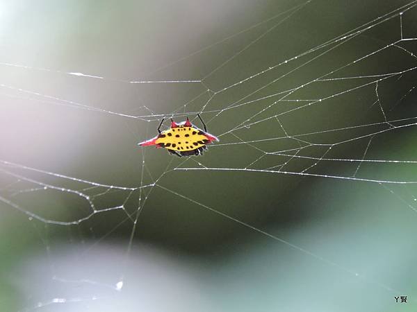 DSCN5812.JPG