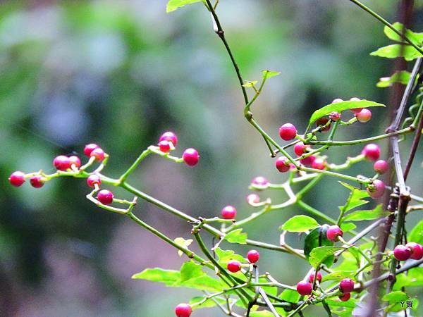 DSCN5864.JPG