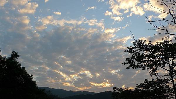 P1110901.JPG