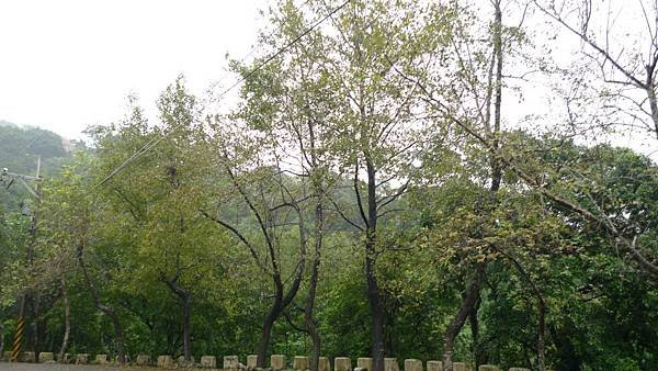 P1120057.JPG