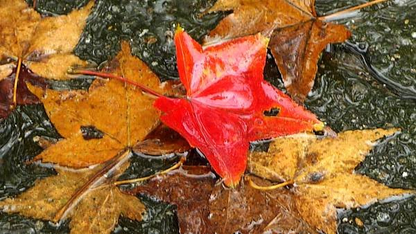 P1120100.JPG