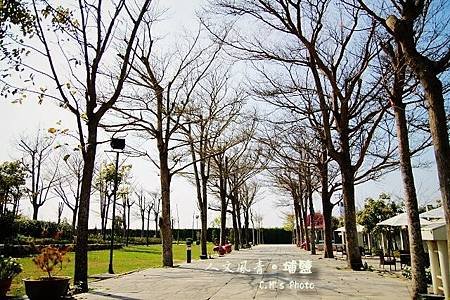人文風青景觀