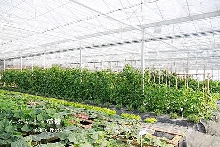 人文風青有機農場
