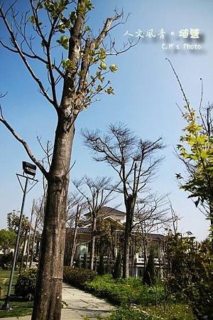 人文風青景觀