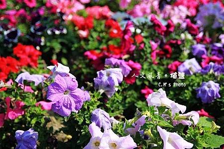 人文風青景觀