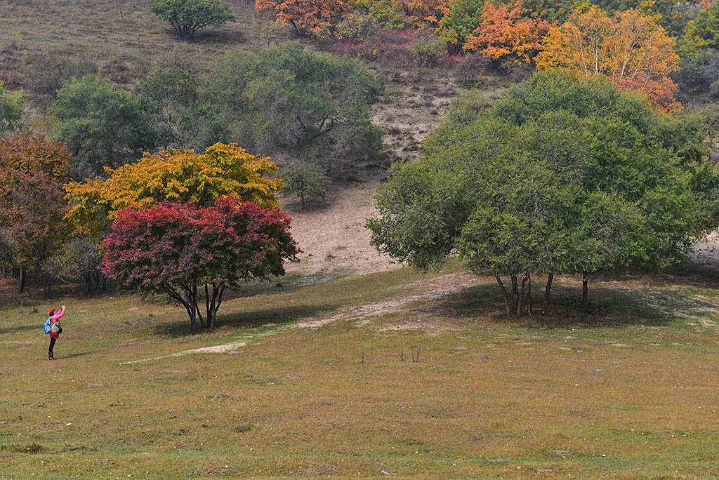 DSC_0122.jpg