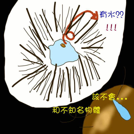 sai7.gif