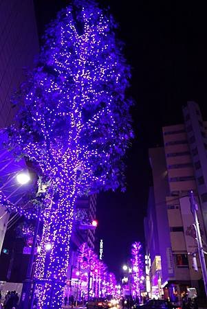 DSC02593.JPG