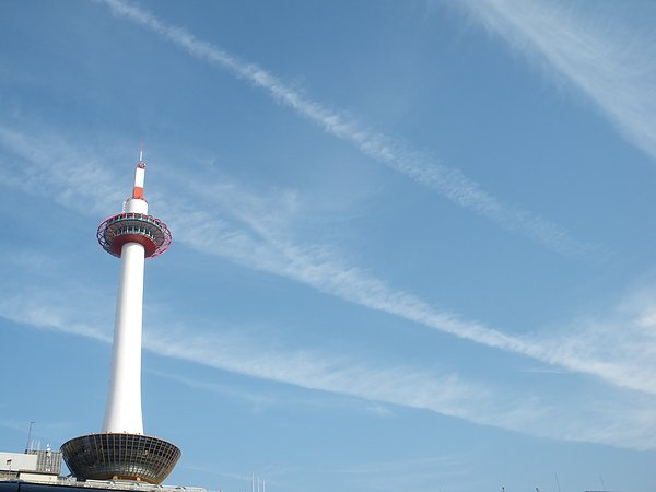 IMGP0907.JPG