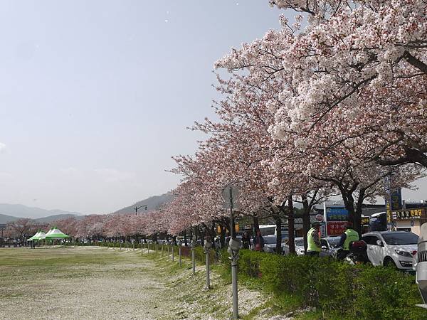 P1280452.JPG