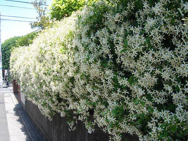 DSC09750