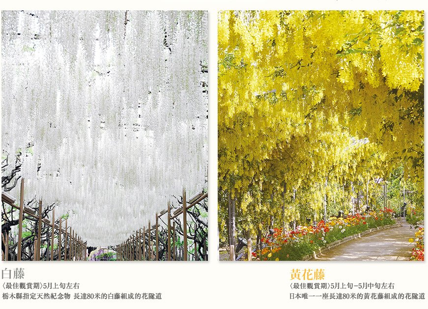 img06[1]