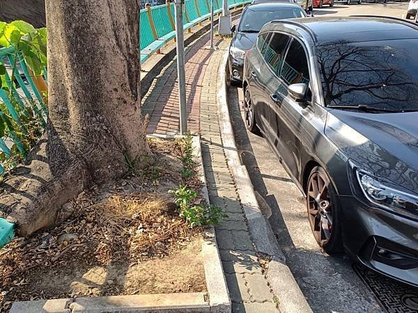 路邊停車/違停