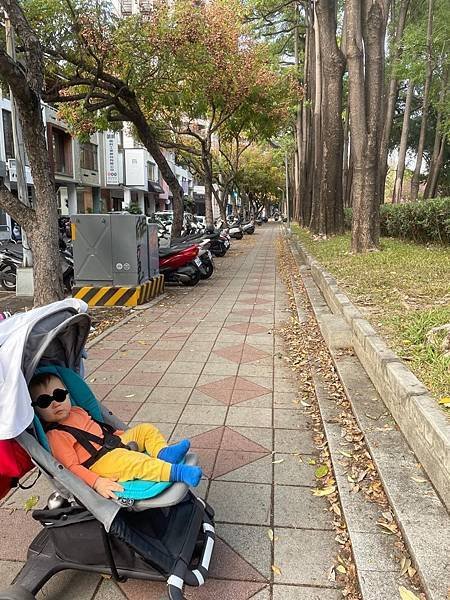 路邊停車/違停