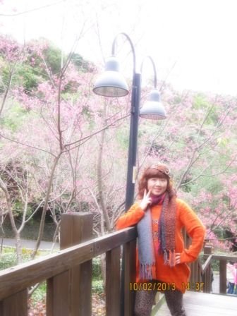 五股水碓觀景公園 (5).JPG
