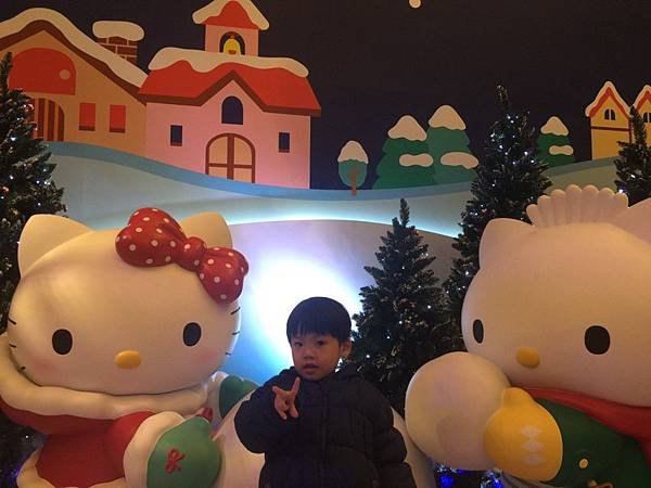 台茂kitty22 (1).jpg