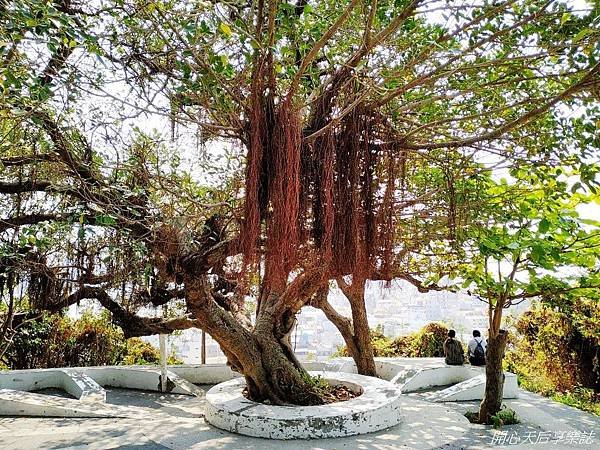 旗后山景觀步道  (16).jpg