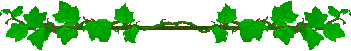 line-109.gif
