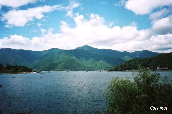 ph103938.jpg