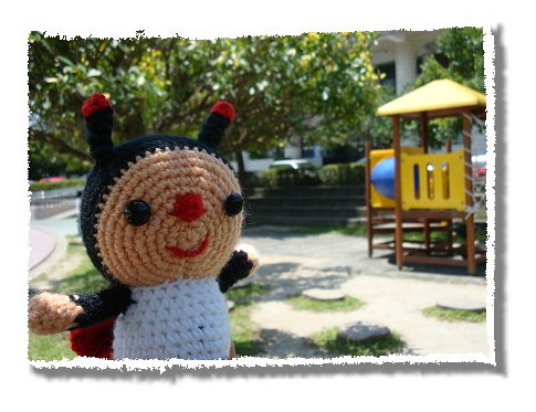 ladybug (11).jpg