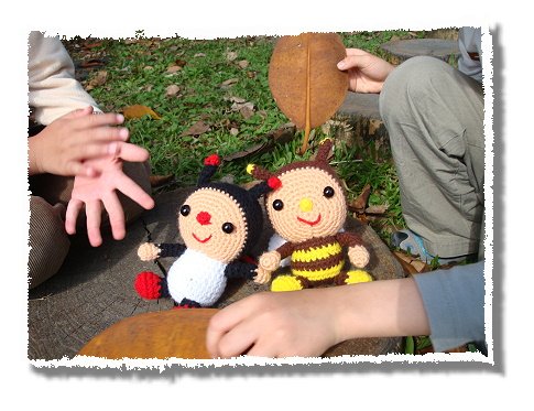 ladybug (14).jpg