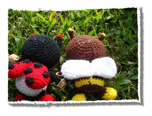 ladybug (17).jpg