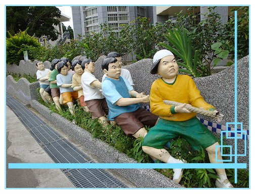 賞桐花 (5).JPG