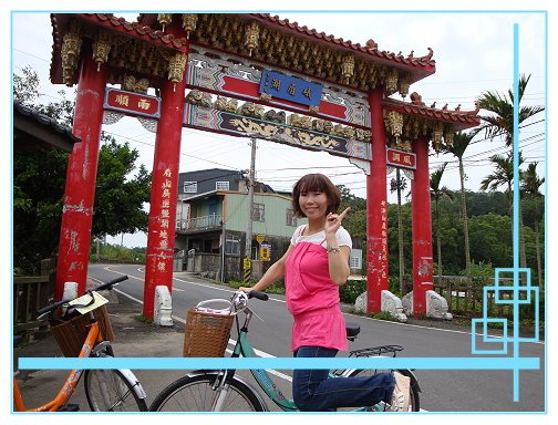 賞桐花 (7).JPG