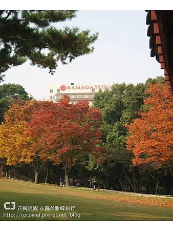 20131103-首爾行-day2-31