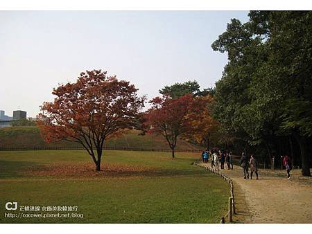 20131103-首爾行-day2-36