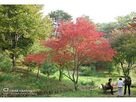 20131103-首爾行-day2-39