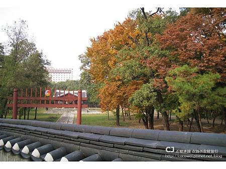 20131103-首爾行-day2-41