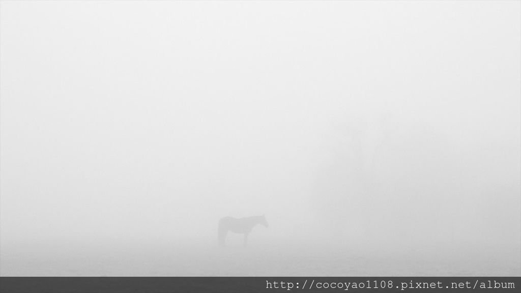 平川祐樹_In the Mist of Time.jpg