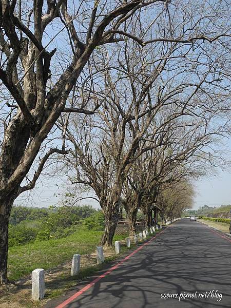 DSCN3738.JPG