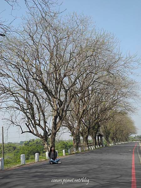 DSCN3751.JPG