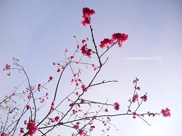 DSCN3759.JPG
