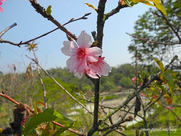 DSCN3790.JPG