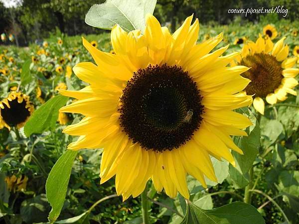 DSCN3848.JPG