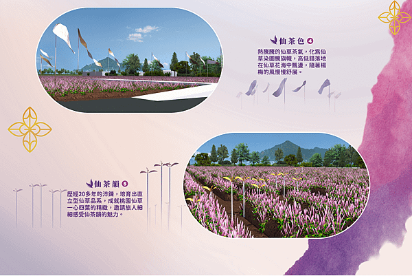 2022桃園仙草花節_主題介紹-2.png