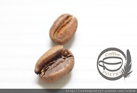 ET衣索比亞 SIDAMO G4  2